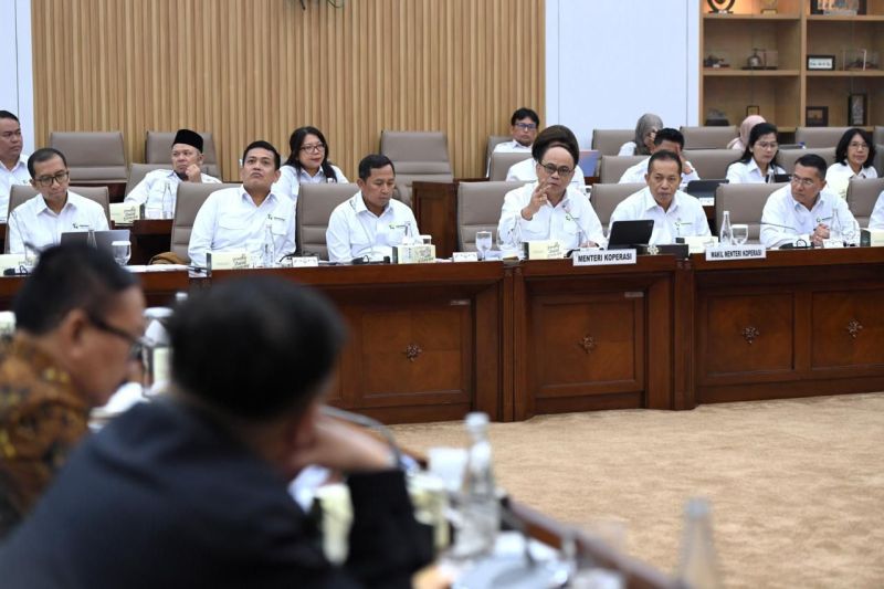 Anggota DPR minta kopdes merah putih dikawal ketat cegah kredit macet