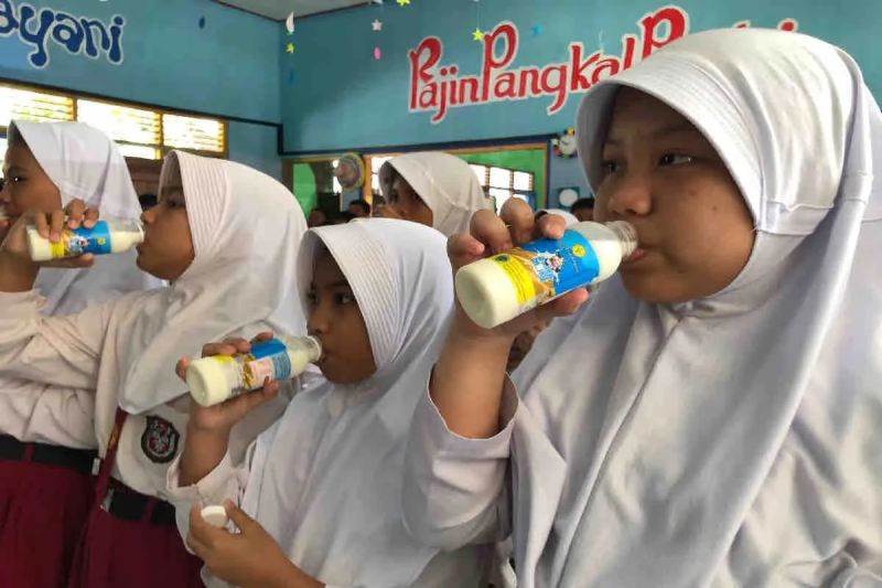 Kementan: HSN momentum dorong anak-anak biasakan minum susu