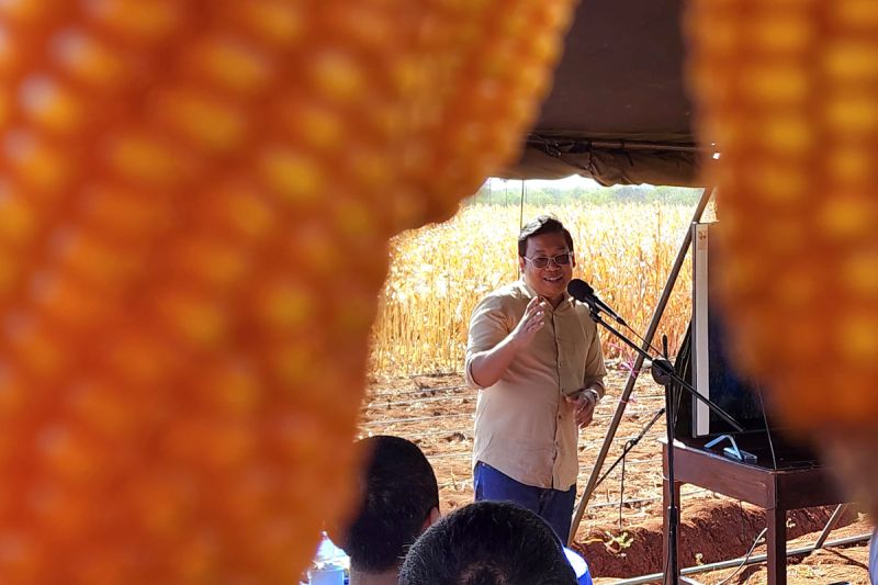 Bapanas mobilisasi distribusi jagung NTB ke Jawa Timur