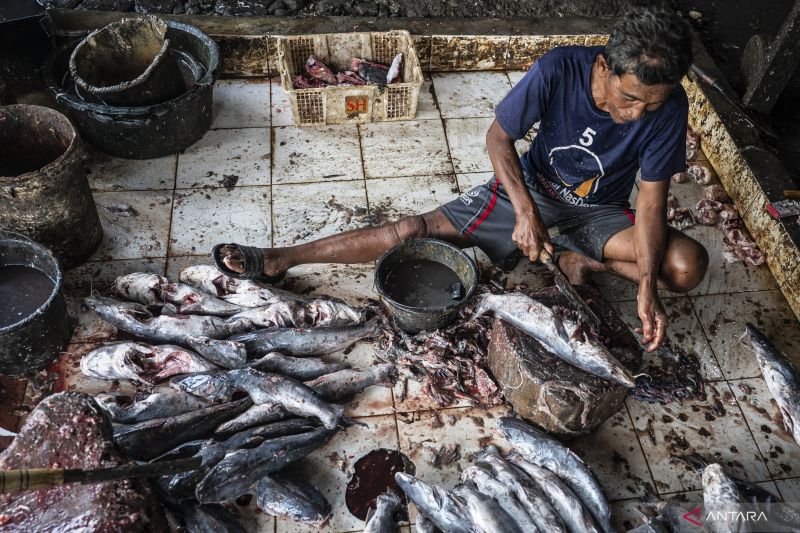 mangut-kuliner-tradisional-dari-pesisir-jawa