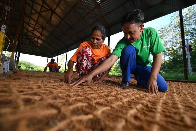 antam-perkuat-ekonomi-hijau-lewat-pemanfaatan-limbah-kelapa-di-maluku
