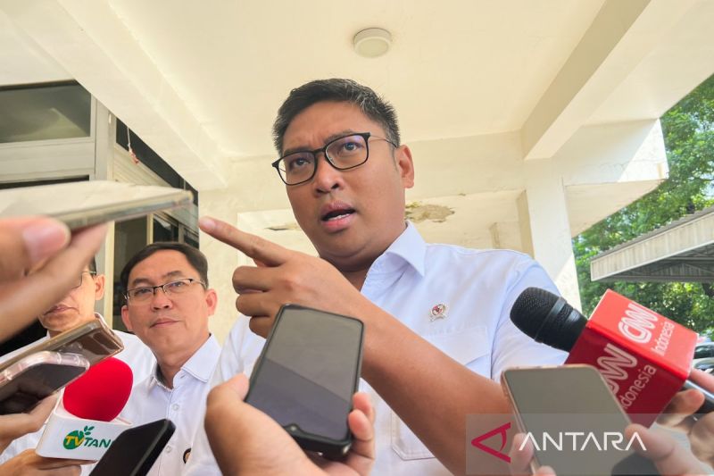 wamentan-impor-singkong-tapioka-akan-diatur-demi-jaga-semangat-petani