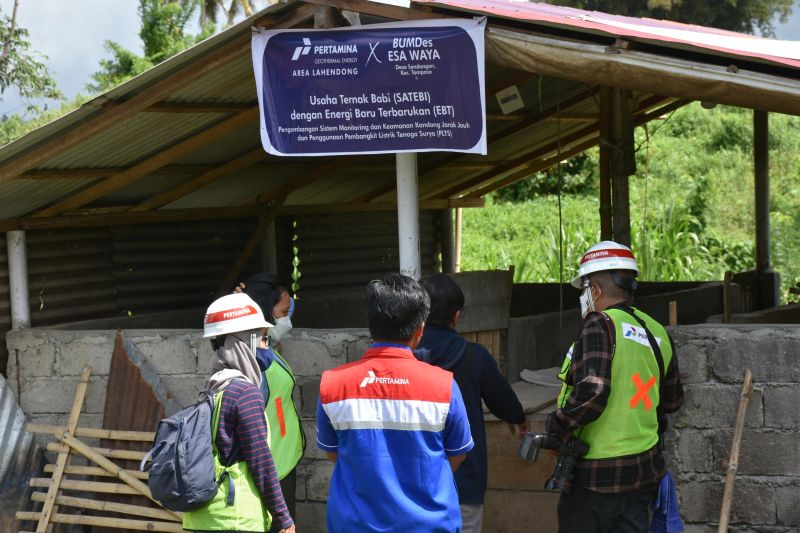 pge-inisiasi-peternakan-berbasis-energi-terbarukan-di-lahendong
