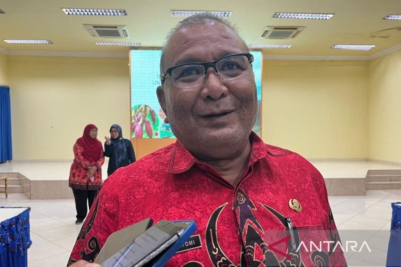 Pemkab Jayapura gandeng LSM tingkatkan produktivitas tanaman kakao