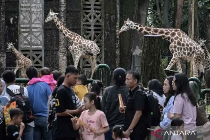 cara-mudah-beli-tiket-ragunan-online-via-aplikasi-dengan-jakcard