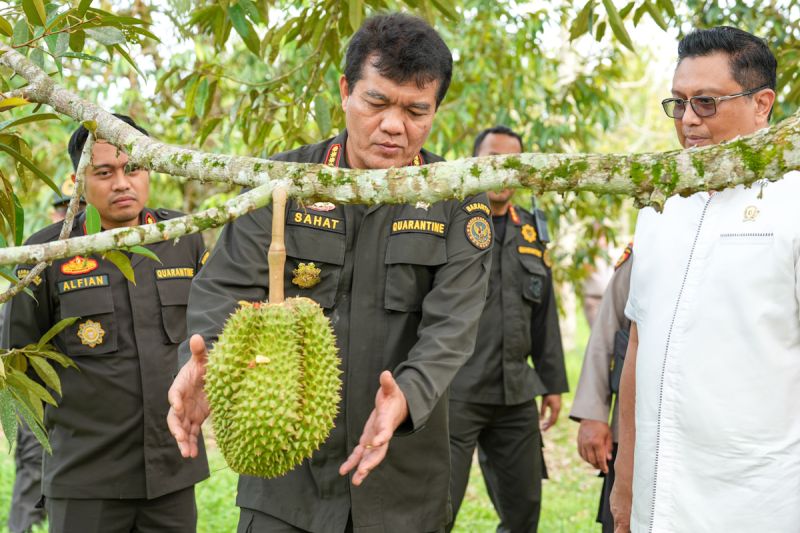 barantin-china-resmi-buka-akses-ekspor-durian-beku-asal-indonesia