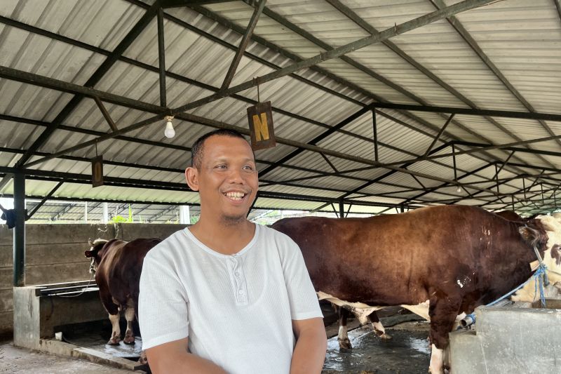 bermodal-rp20-juta-peternakan-sapi-di-bekasi-kini-beraset-rp80-miliar
