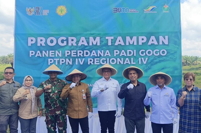 kementan-apresiasi-ptpn-iv-palmco-dan-rsi-panen-padi-di-lahan-psr