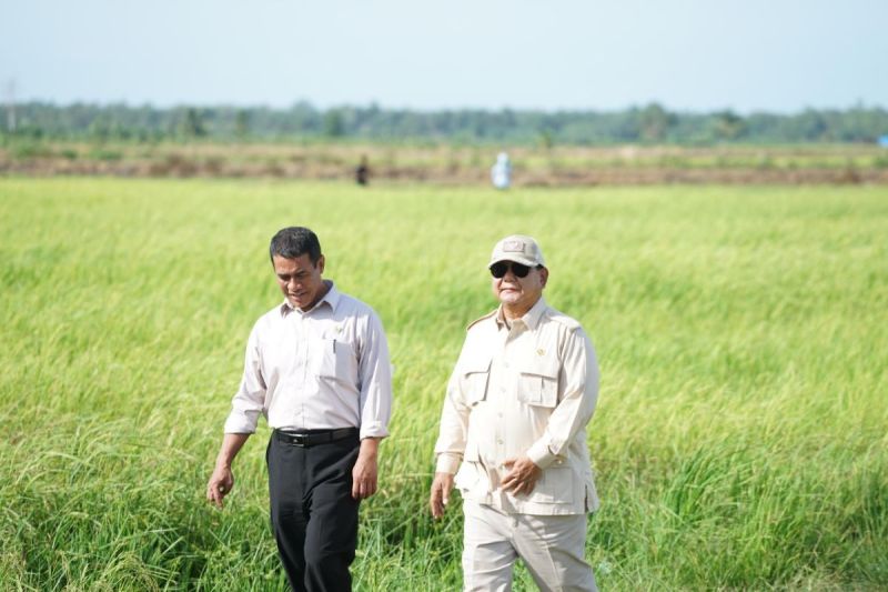 mentan-cadangan-beras-4-juta-ton-simbol-kemandirian-bangsa