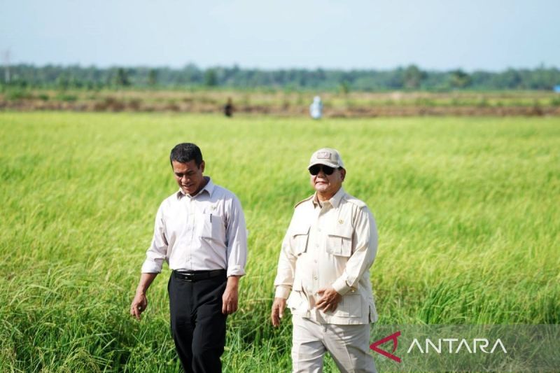 prabowo-cetak-sejarah-beras-cadangan-nasional-4-juta-ton