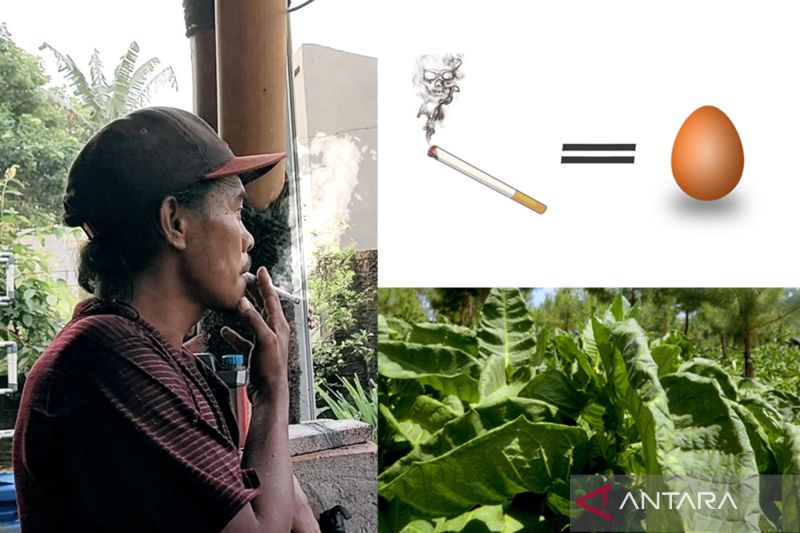 guru-besar-ui-fctc-alat-tekanan-global-bagi-negara-produsen-tembakau