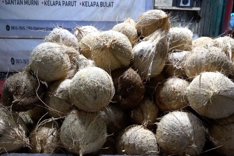 kelapa-langka-pengusaha-rendang-di-padang-lakukan-penyesuaian-harga