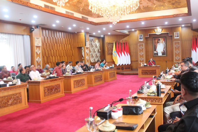 gubernur-bali-bentuk-tim-khusus-tangani-usaha-ilegal-wna
