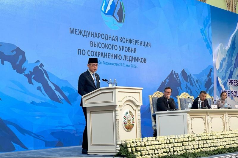 Puncak Carstensz mencair, RI dorong aksi global pelestarian gletser