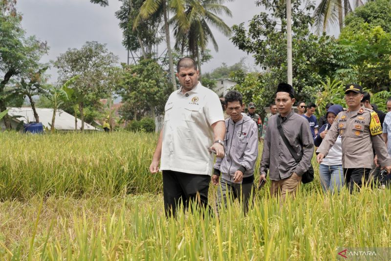 anggota-komisi-iv-dpr-minta-distributor-tak-permainkan-pupuk-subsidi