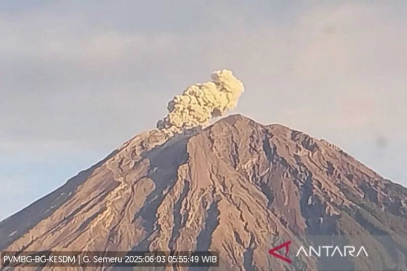 BPBD Kota Malang data dampak hujan abu vulkanik Gunung Semeru