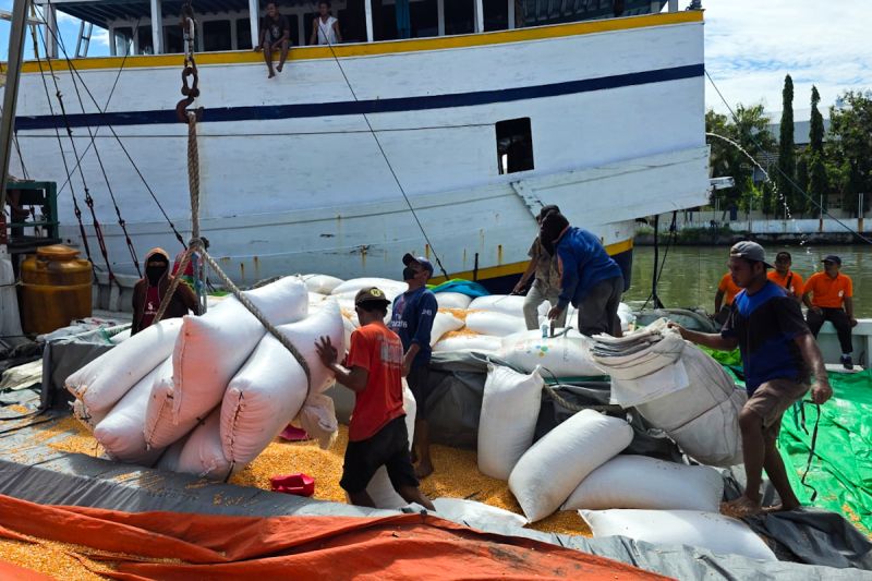 bapanas-perkuat-distribusi-jagung-dari-sentra-ke-wilayah-defisit