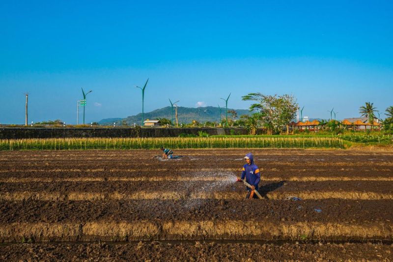 bri-penyaluran-kur-hingga-april-capai-3138-persen-dari-total-alokasi