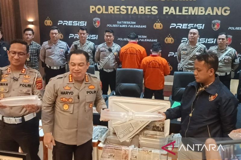 Polrestabes Palembang gagalkan penyelundupan benih lobster