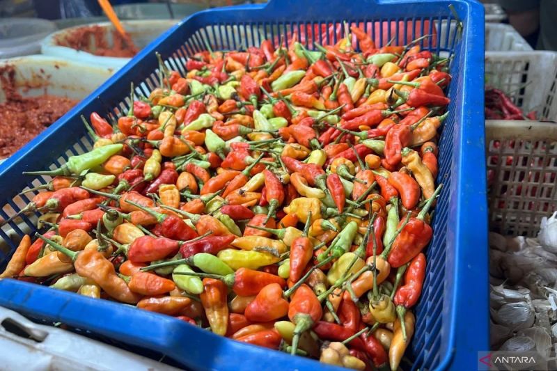bapanas-harga-cabai-rawit-rp48196kg-bawang-merah-rp38154kg