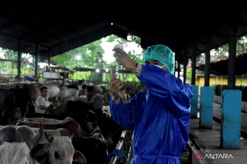 jumlah-hewan-kurban-di-kabupaten-bekasi-turun-18-persen