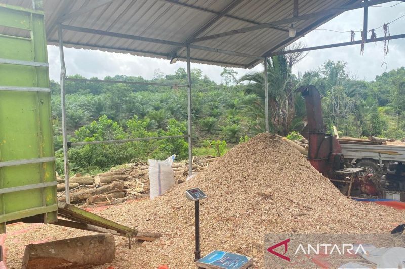 aktivitas-co-firing-biomassa-untuk-pltu-buka-peluang-kerja-di-konsel