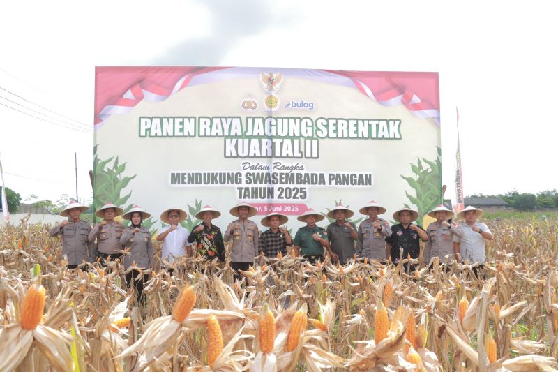 Polres Blitar panen jagung hasilkan 2,1 ton jagung gelondong