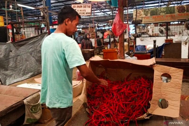 bapanas-harga-cabai-rawit-rp48457kg-bawang-merah-rp38525kg
