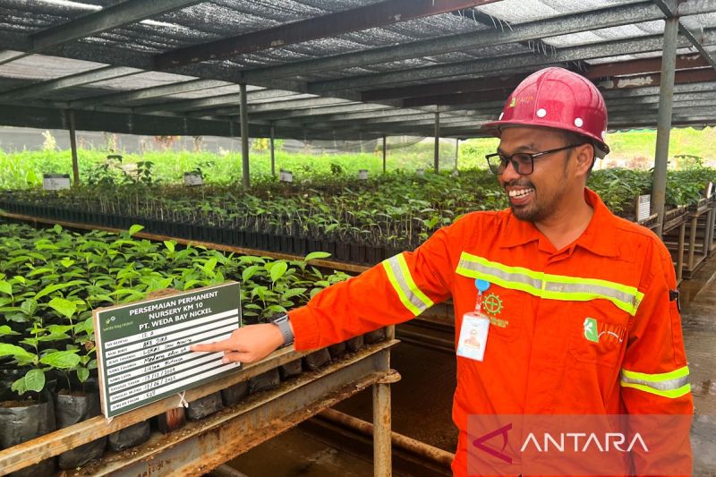nursery-wbn-produksi-200-ribu-bibit-tanaman-endemik-untuk-reklamasi