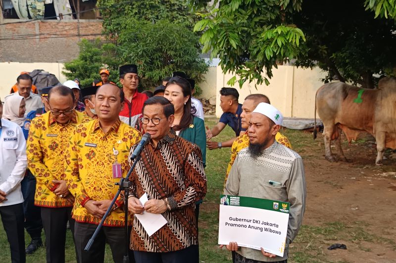 Ini alasan Pramono serahkan sapi kurban kepada masjid di Tambora
