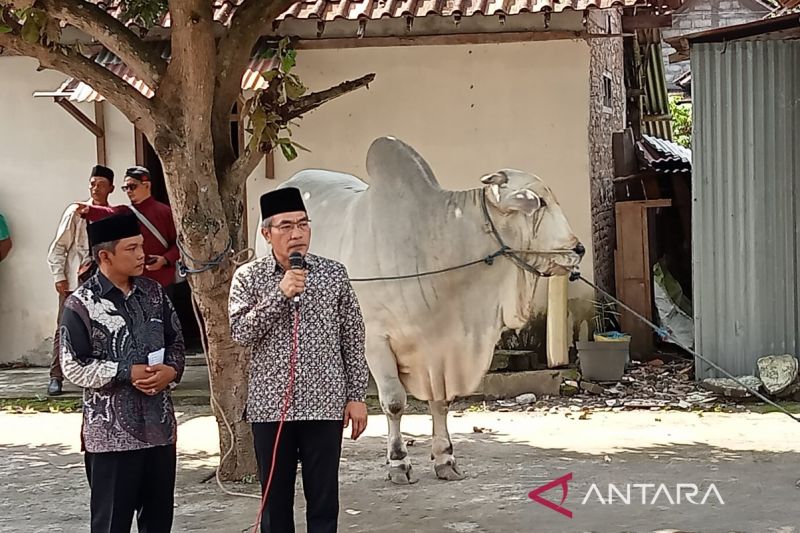 Bantul salurkan sapi kurban dari Presiden untuk masyarakat Srimartani