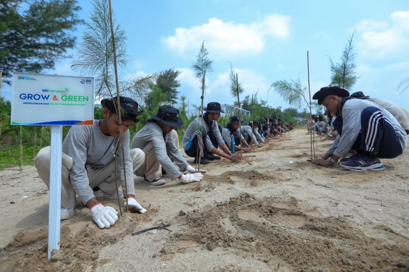 Peringati Hari Lingkungan Hidup Sedunia, BRI pertegas komitmen dalam menjaga ekosistem lingkungan