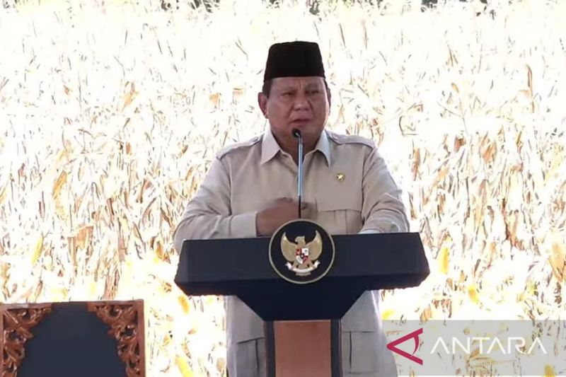 prabowo-saya-tidak-akan-tenang-sebelum-indonesia-swasembada-pangan