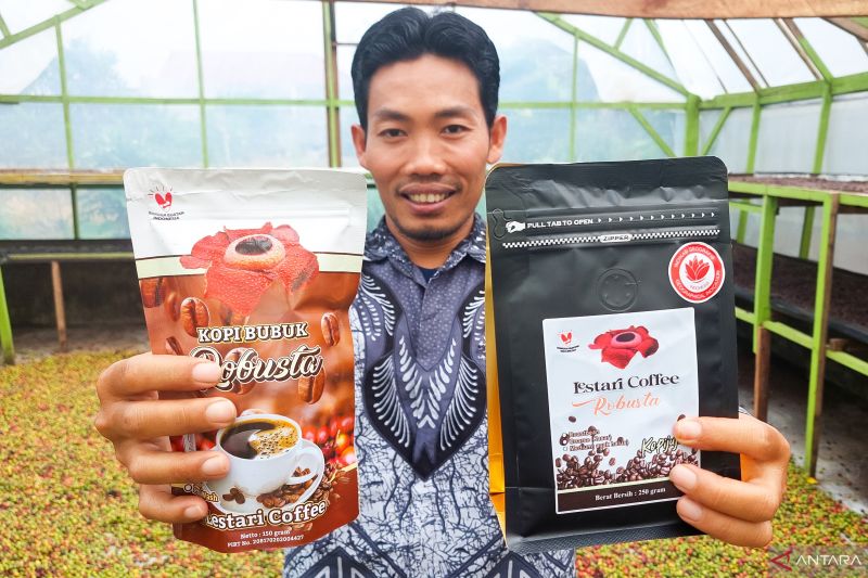cerita-lestari-kopi-bengkulu-kini-tak-lagi-sendiri-dan-tembus-dunia