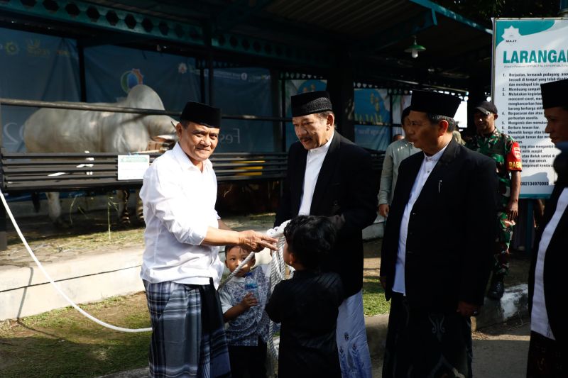 Ahmad Luthfi: Ada 547.590 hewan kurban di Jawa Tengah