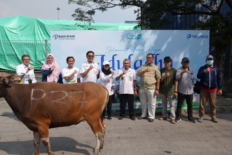 spsl-salurkan-hewan-kurban-ke-berbagai-wilayah-di-indonesia