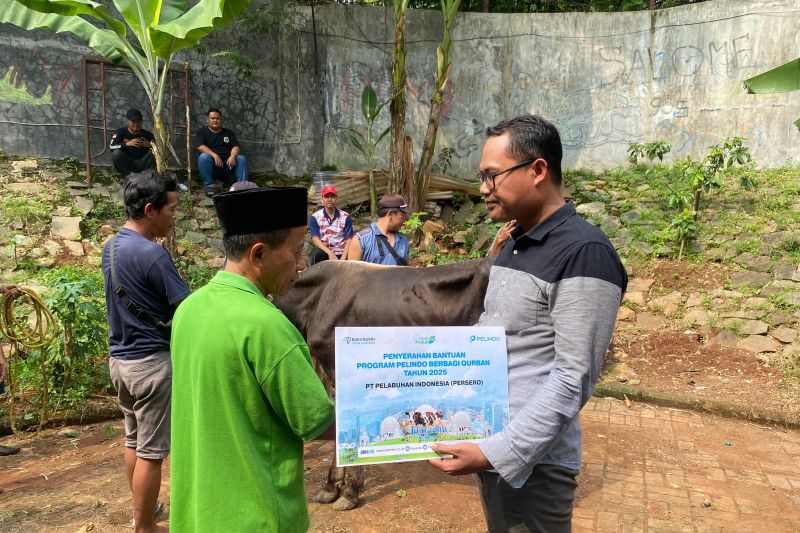 Pelindo salurkan 924 hewan kurban sebagai wujud kepedulian sosial