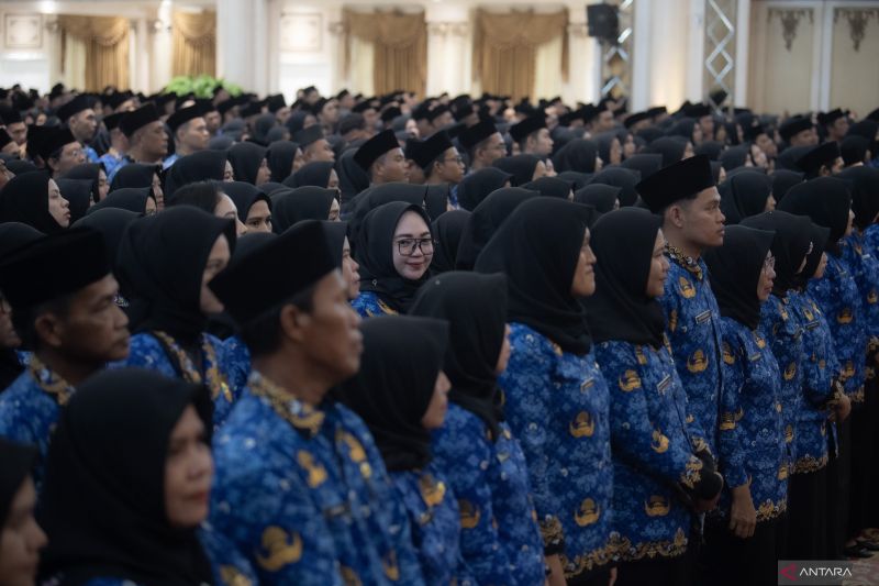 Arti kode hasil seleksi PPPK Tahap 2: Panduan lengkap untuk peserta