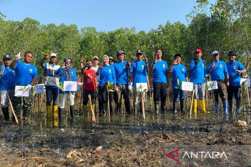 Pemkab Batang siapkan 117 ribu mangrove cegah abrasi