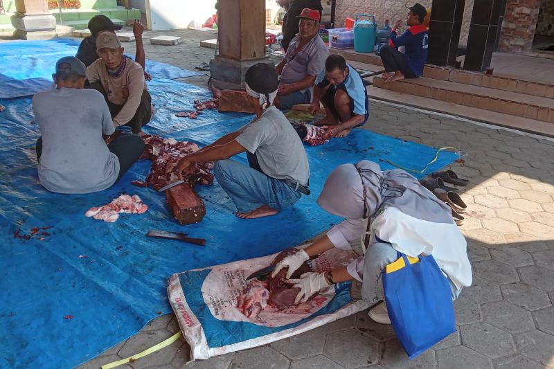 Dinas Pertanian Kudus temukan cacing hati di hewan kurban