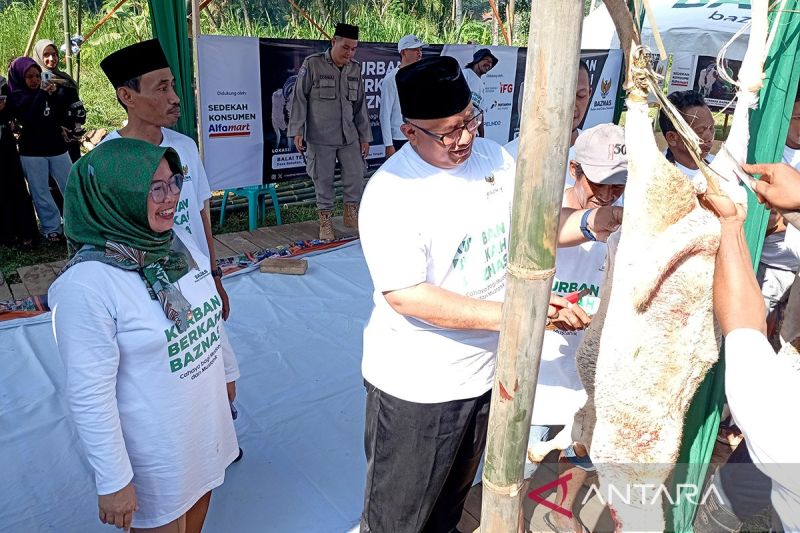 Baznas RI sembelih 7.000 hewan kurban di 10 provinsi