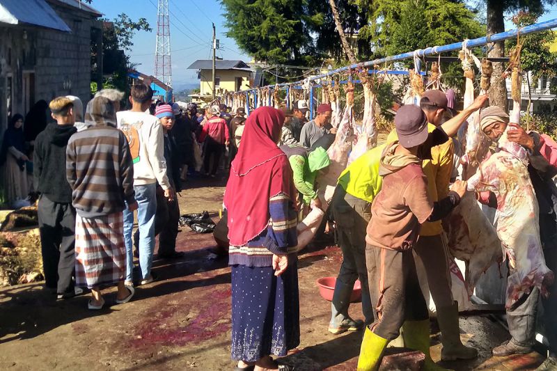 Warga Batur Banjarnegara gelar tradisi sembelih 720 hewan kurban