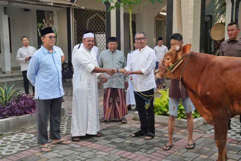 pgn-group-bagikan-955-hewan-kurban-untuk-masyarakat