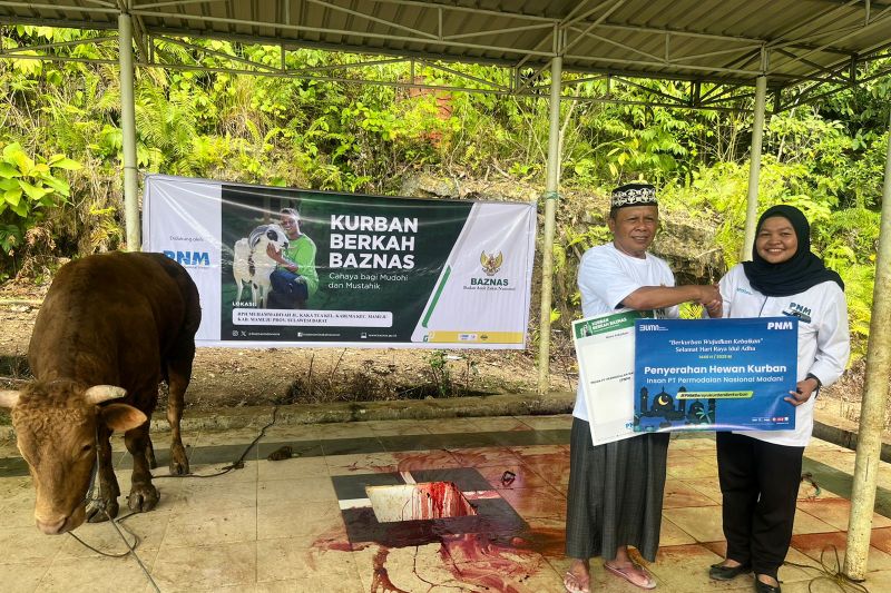 Kolaborasi PNM dan BAZNAS salurkan hewan kurban untuk masyarakat 3T