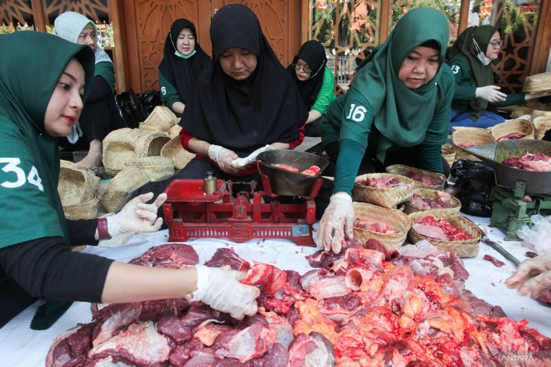 ide-menu-idul-adha-resep-kulit-kambing-pedas-kare-dan-tumis-pare