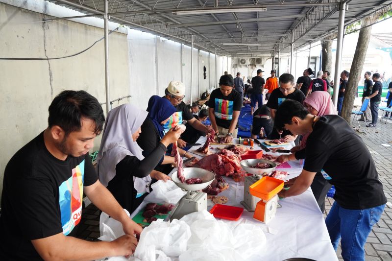 pln-salurkan-daging-kurban-di-berbagai-daerah