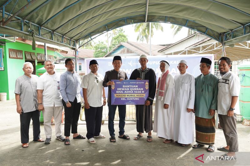 pupuk-kaltim-salurkan-45-hewan-kurban-ke-wilayah-bontang-dan-fakfak
