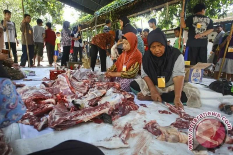 DPKP catat 1.649 hewan kurban di DIY terinfeksi cacing hati