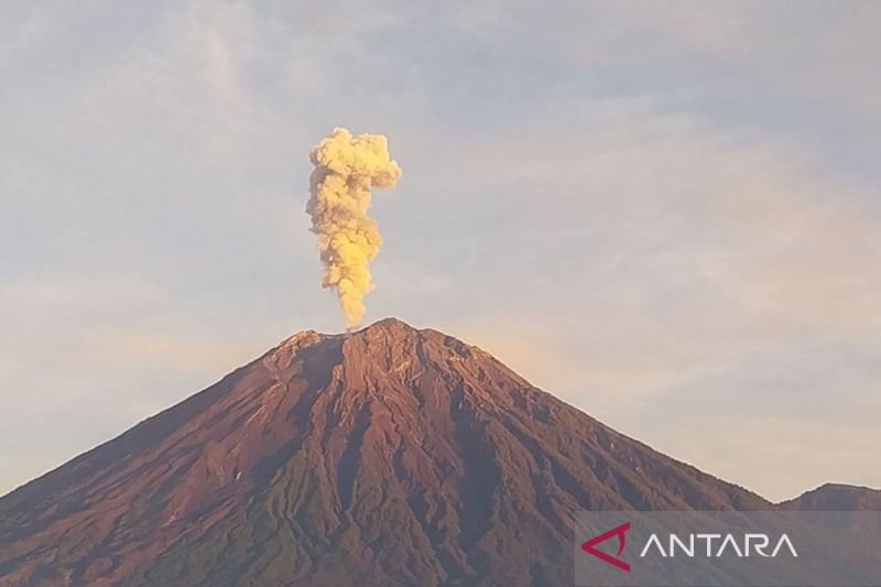 Gunung Semeru erupsi disertai letusan setinggi 1.000 m di atas puncak