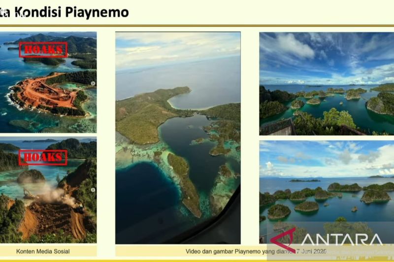 Pengamat apresiasi Pemerintah cabut IUP nikel Raja Ampat